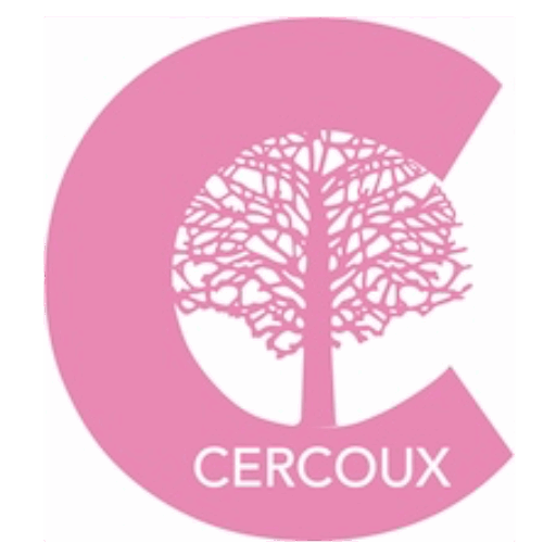 Conseil municipal – Octobre 2025
